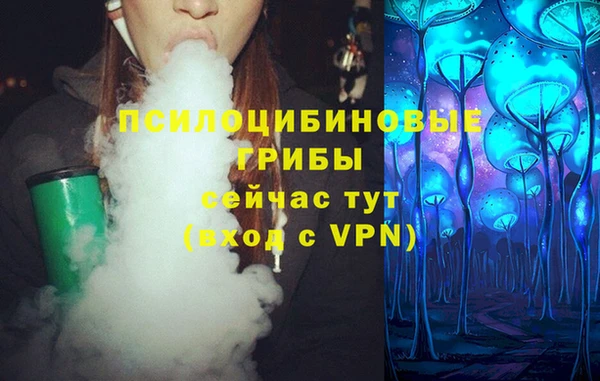 мдма Белокуриха