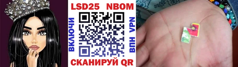 ОМГ ОМГ как зайти  Светлый  Марки N-bome 1,8мг 
