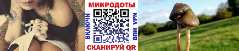 гидра рабочий сайт Светлый Псилоцибиновые грибы Psilocybine cubensis
